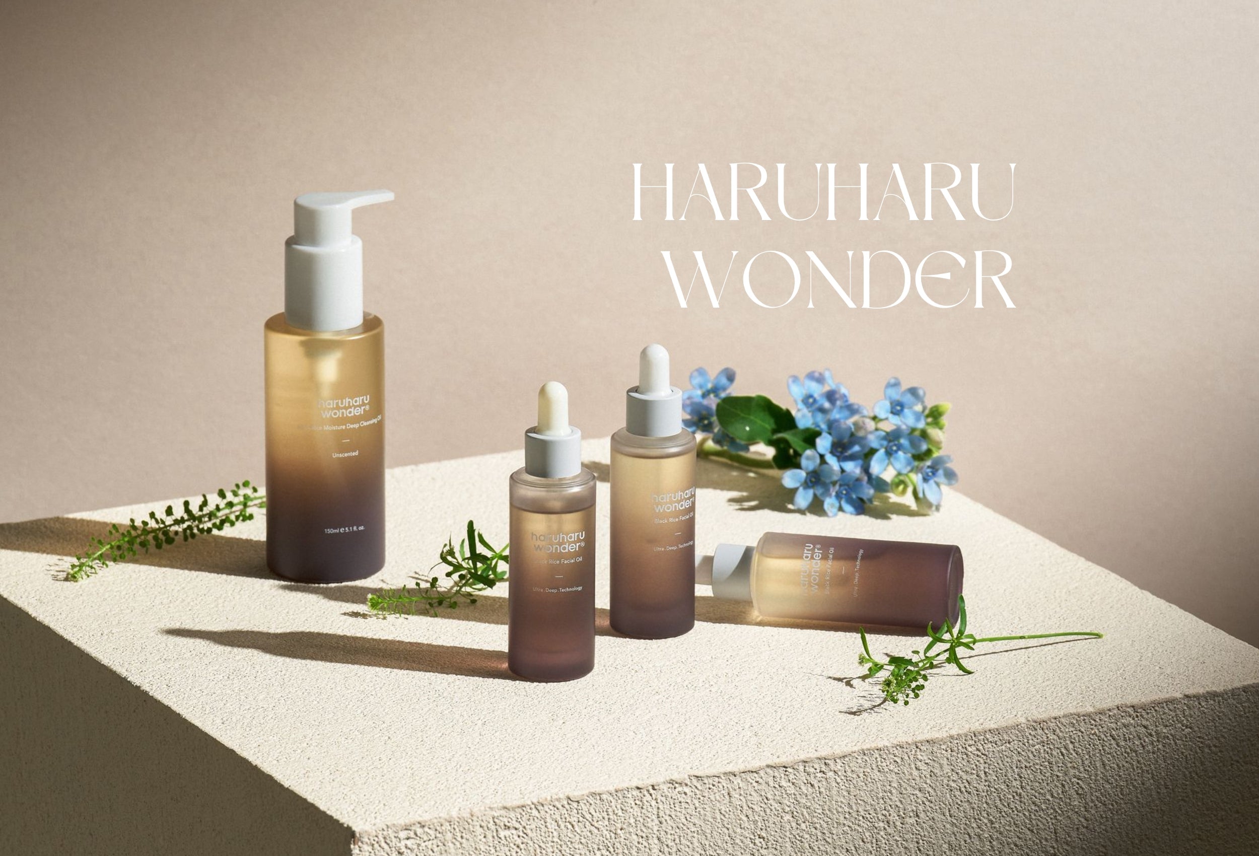 Haruharu Wonder
