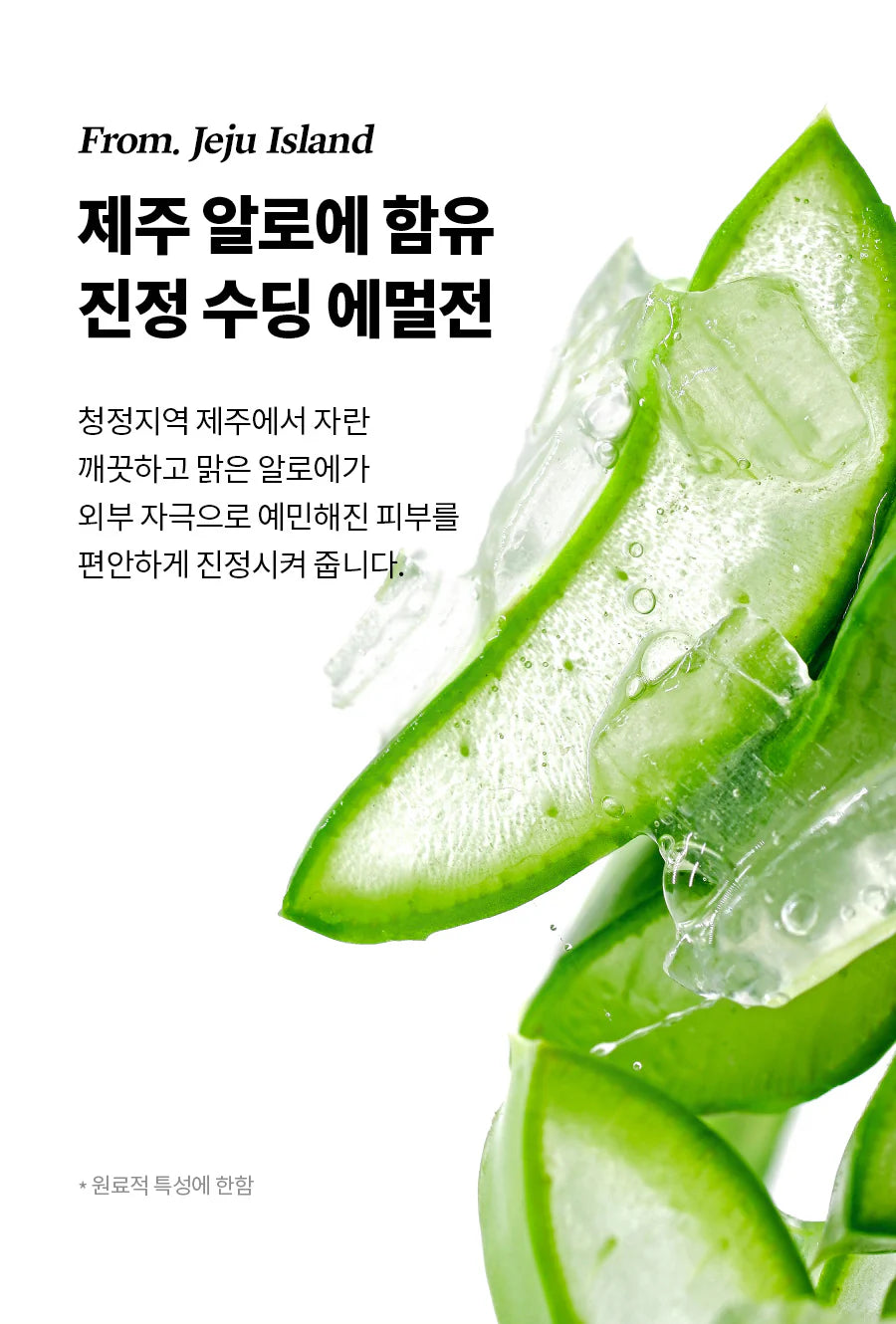 Aloe Soothing Emulsion