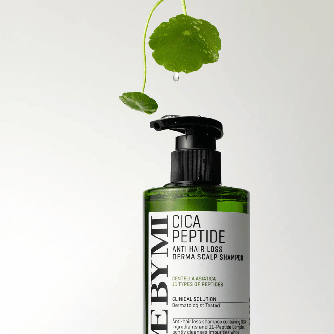 Infographie des ingrédients actifs Centella Asiatica et Peptides anti-chute