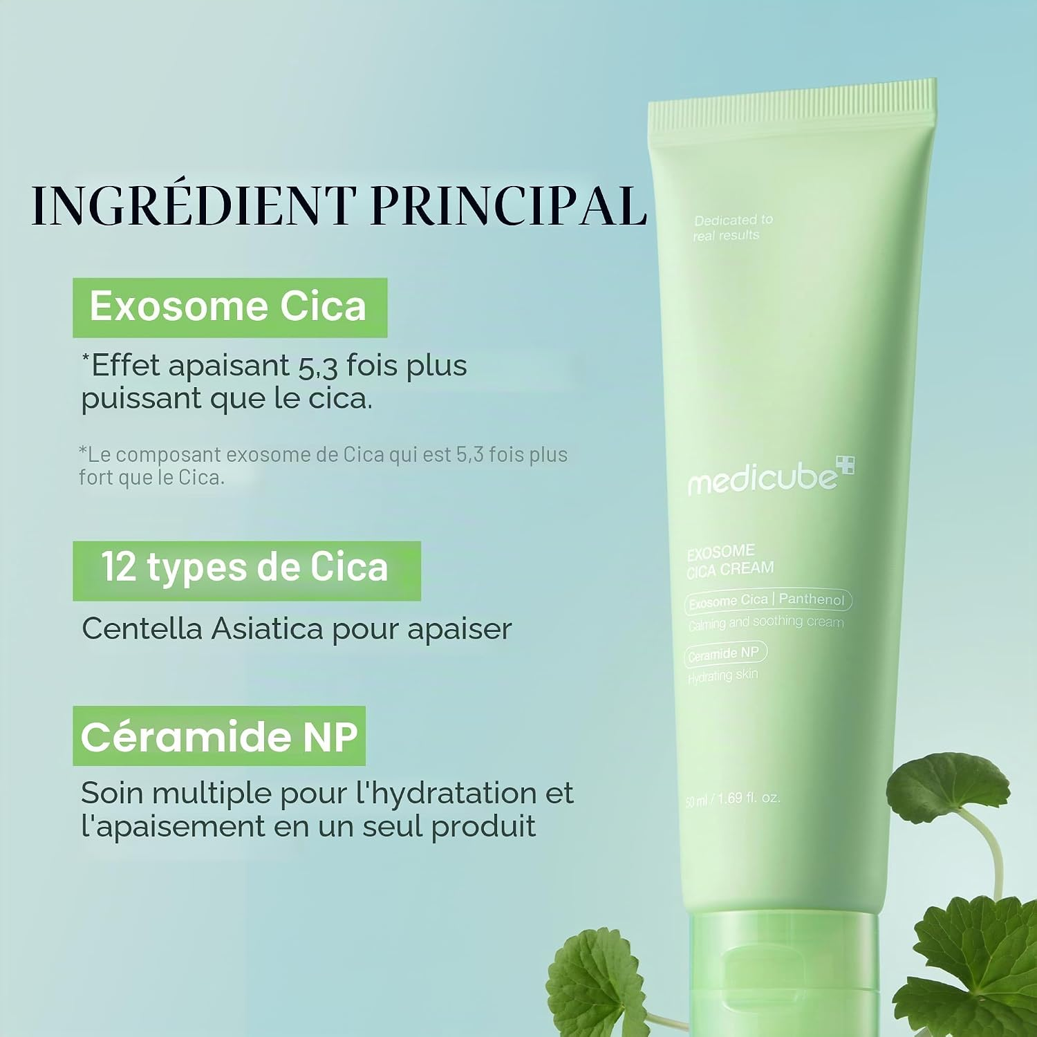 Crème de nuit apaisante aux exosomes de Cica Medicube présentée à côté de feuilles de Centella Asiatica.